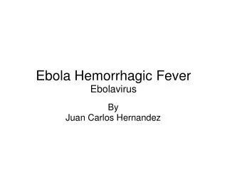 Ebola Hemorrhagic Fever Ebolavirus