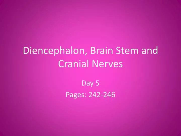 diencephalon brain stem and cranial nerves