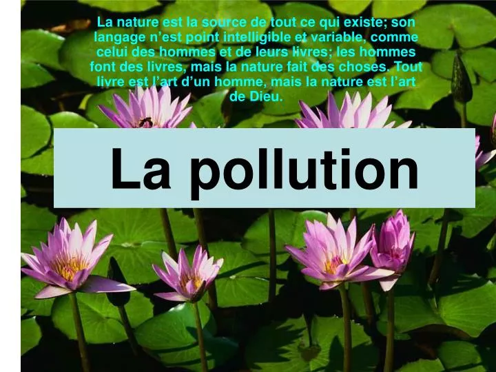 la pollution