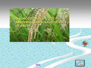 DIAGNOSTIC FIELD GUIDE FOR BACTERIAL AND VIRAL DISEASES OF PADDY