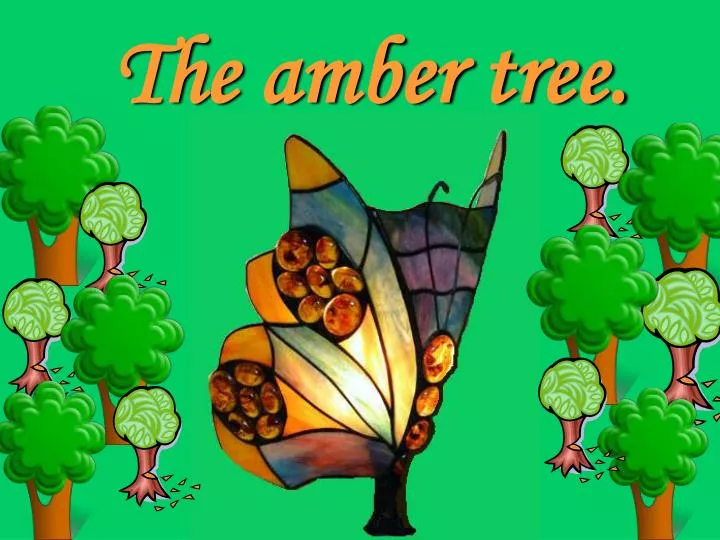 the amber tree