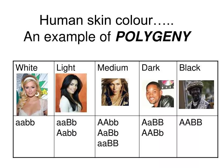 human skin colour an example of polygeny