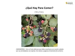 qu hay para comer