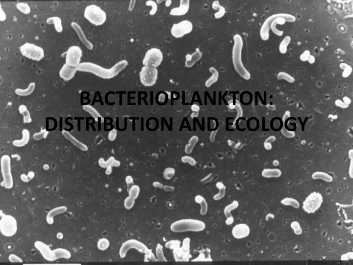 bacterioplankton distribution and ecology