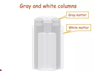 Gray and white columns