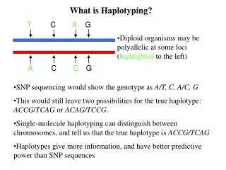 What is Haplotyping?