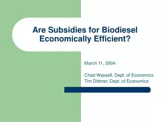Are Subsidies for Biodiesel Economically Efficient?