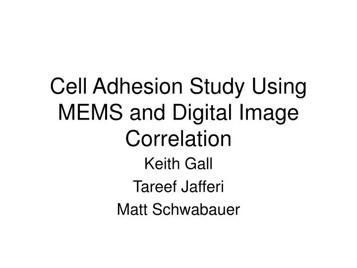 cell adhesion study using mems and digital image correlation