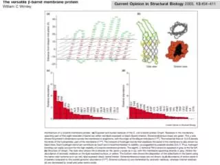 Nutrient Transport in E. coli