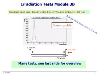 Irradiation Tests Module 3B