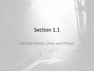 section 1 1