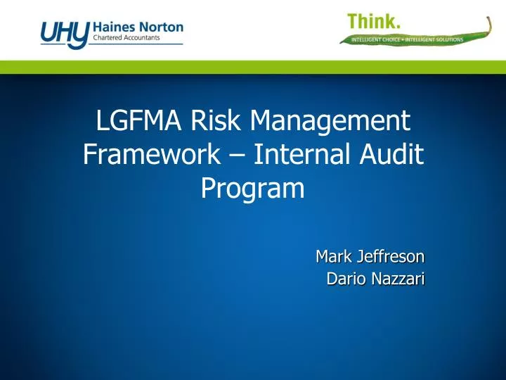 lgfma risk management framework internal audit program