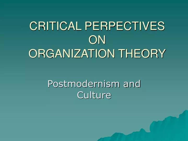 critical perpectives on organization theory