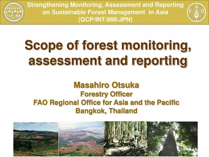 scope of forest monitoring assessment and reporting