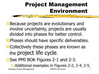 Project Management Environment
