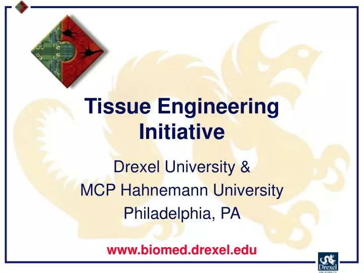 tissue engineering initiative