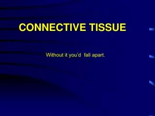 CONNECTIVE TISSUE