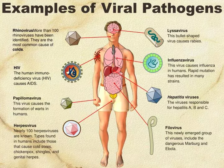 examples of viral pathogens
