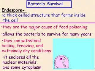 Bacteria Survival
