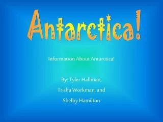Information About Antarctica! By: Tyler Hallman, Trisha Workman, and Shelby Hamilton