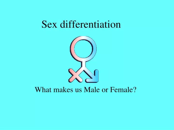 sex differentiation