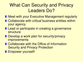 What Can Security and Privacy Leaders Do?