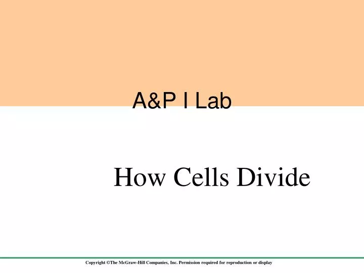 a p i lab