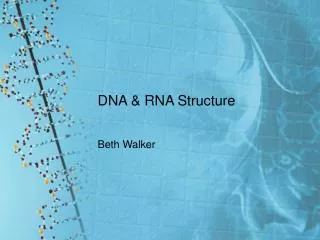 DNA &amp; RNA Structure