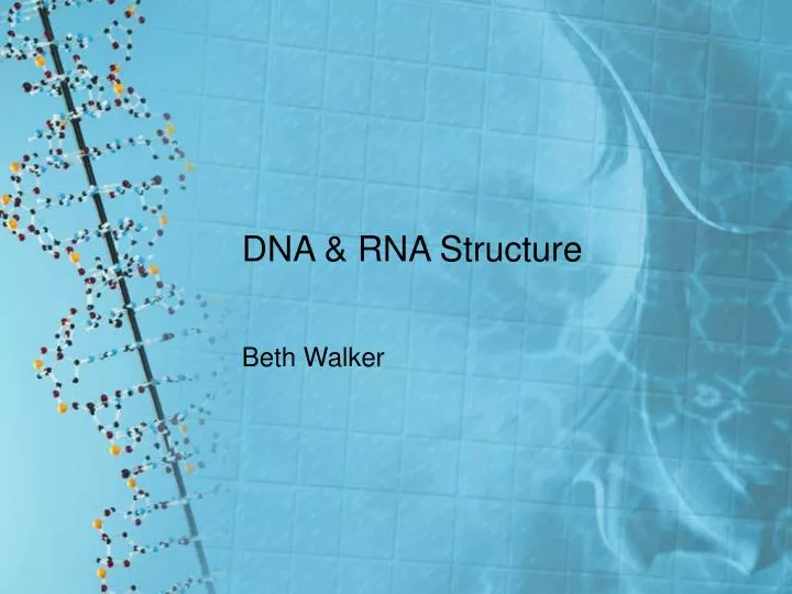 dna rna structure