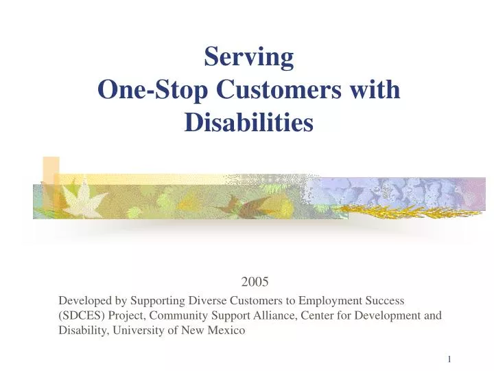 serving one stop customers with disabilities
