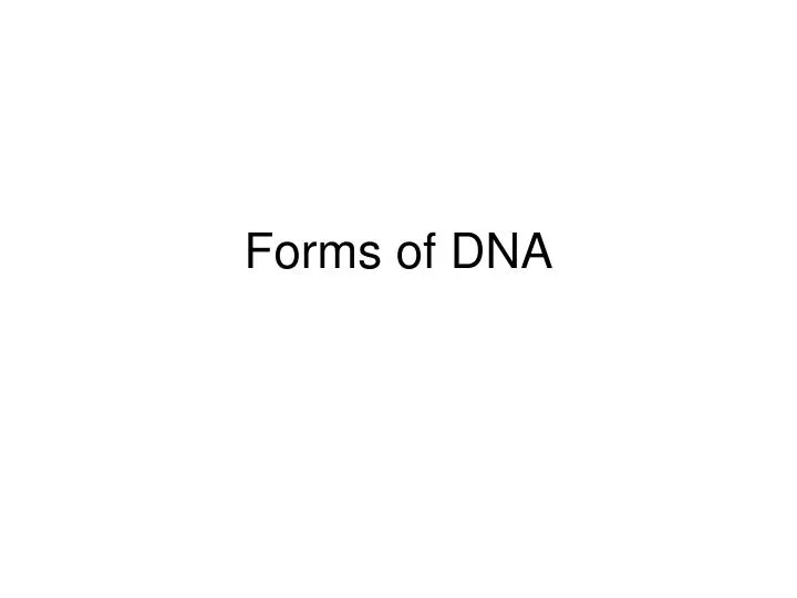 forms of dna