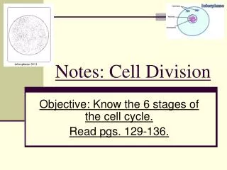 Notes: Cell Division