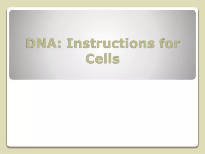 dna instructions for cells