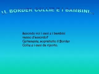 IL BORDER COLLIE E I BAMBINI...