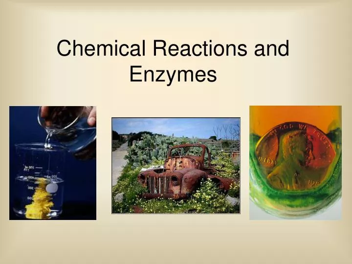 chemical reactions and enzymes