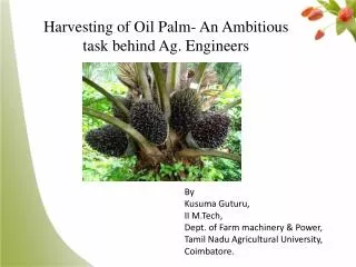 Harvesting of Oil Palm- An Ambitious task behind Ag. Engineers