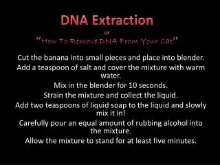 DNA Extraction or “ How To Remove DNA From Your Cat ”