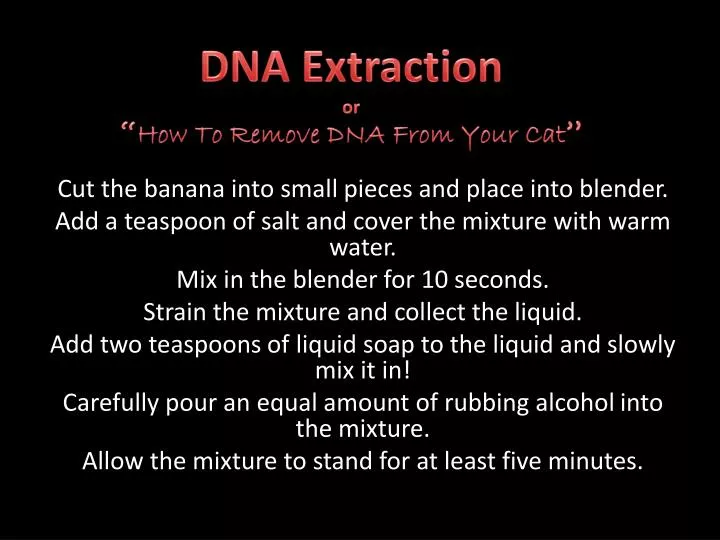 dna extraction or how to remove dna from your cat