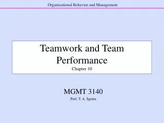Teamwork and Team Performance Chapter 10