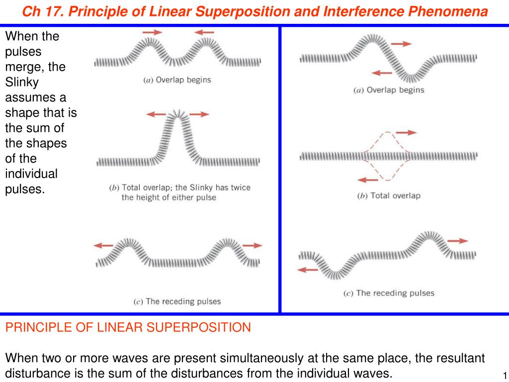 PPT - Understanding Linear Superposition and Interference of Waves ...