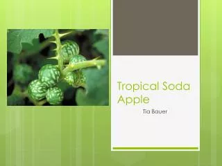 Tropical Soda Apple