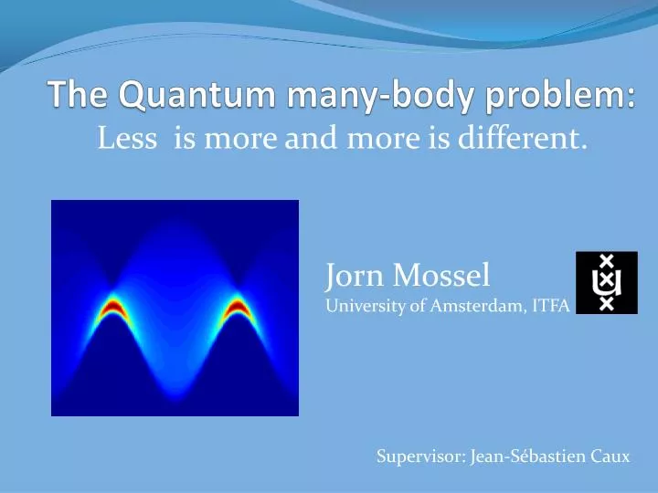 the quantum many body problem