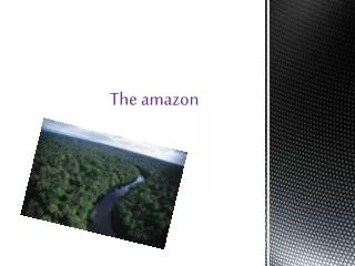 The amazon