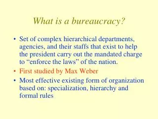 What is a bureaucracy?