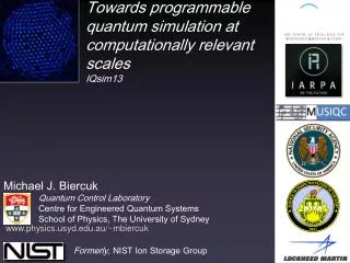 Towards programmable quantum simulation at computationally relevant scales IQsim13