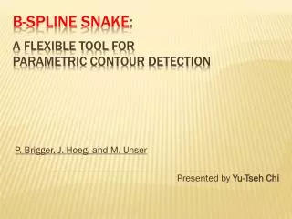 B- Spline Snake : A Flexible Tool for Parametric Contour Detection