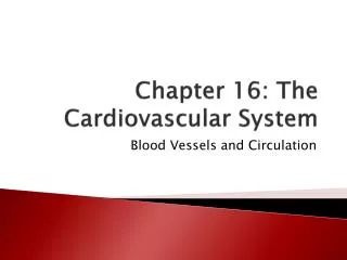 Chapter 16: The Cardiovascular System