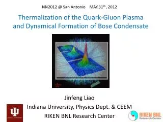 Thermalization of the Quark-Gluon Plasma and Dynamical Formation of Bose Condensate