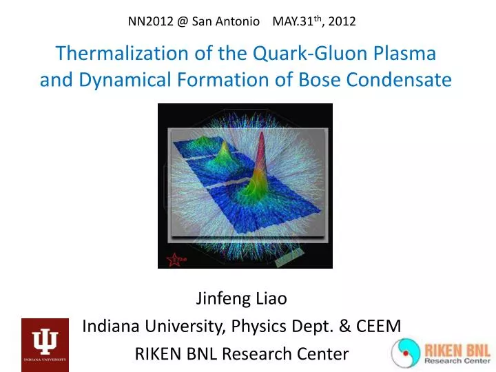 thermalization of the quark gluon plasma and dynamical formation of bose condensate