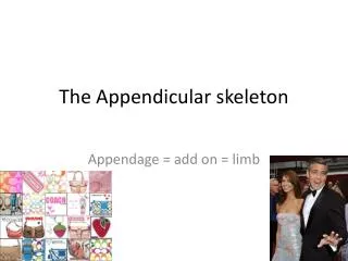 The Appendicular skeleton
